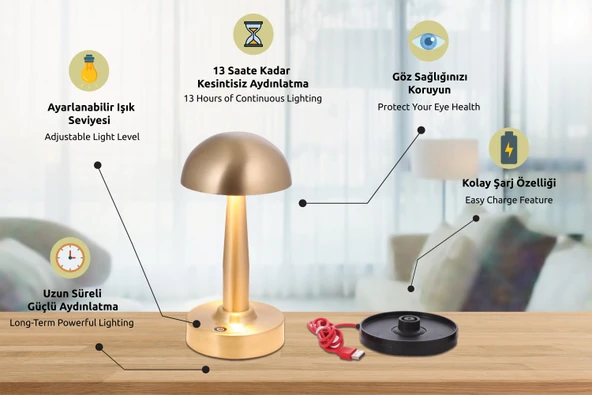 AVONNI ML-64004-E Eskitme Kaplama Masa Lambası LED Metal Pleksi 12cm - 5