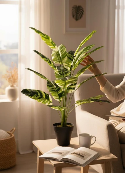 Yapay Çiçek Çizgili Muz Yapraklı Alaca Starliçe Salon Çiçeği 18Dal 80*50cm Yapay Bitki - Resim 8