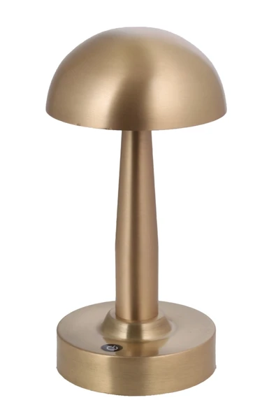 AVONNI ML-64004-E Eskitme Kaplama Masa Lambası LED Metal Pleksi 12cm - 1