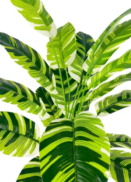 Yapay Çiçek Çizgili Muz Yapraklı Alaca Starliçe Salon Çiçeği 18Dal 80*50cm Yapay Bitki - Resim 6