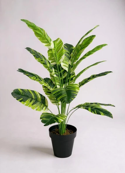 Yapay Çiçek Çizgili Muz Yapraklı Alaca Starliçe Salon Çiçeği 18Dal 80*50cm Yapay Bitki ürün görseli 1