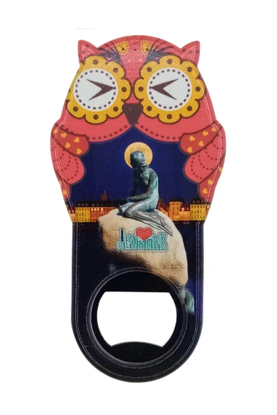 Danimarka Temalı Baykuş Magnet Kapak Açacak - Resim 3