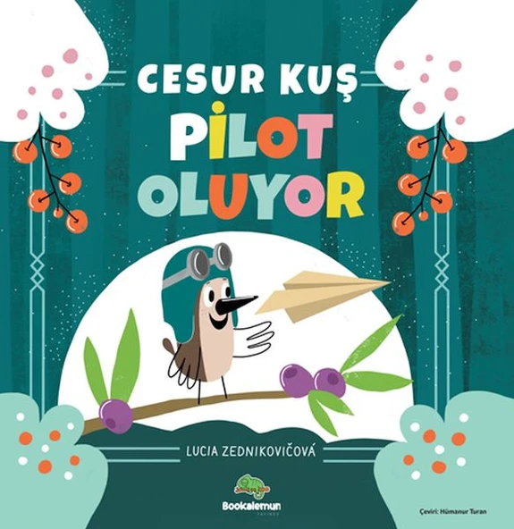Cesur Kuş Pilot Oluyor ürün görseli 1