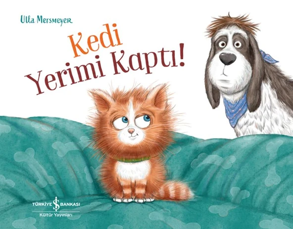 Kedi Yerimi Kaptı! ürün görseli 1