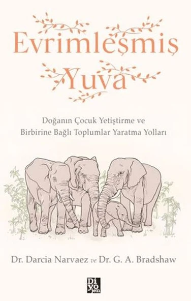 Evrimleşmiş Yuva ürün görseli 1