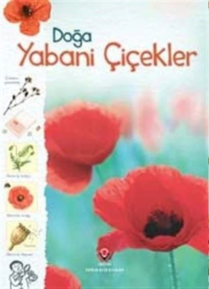 Doğa-Yabani Çiçekler ürün görseli 1