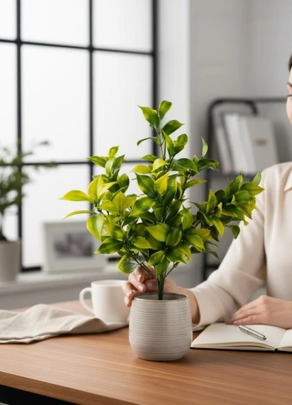 Yapay Çiçek Sarı Yeşil Limon Yaprağı Demet Şimşir Demeti Garnitür Aradal Dekoratif Yapay Bitki - Resim 5