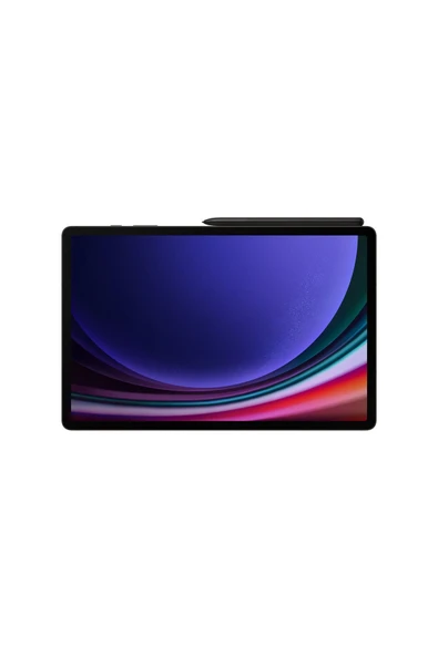 Samsung Galaxy Tab S9 12 Gb Ram 256 Gb Gray - Resim 2