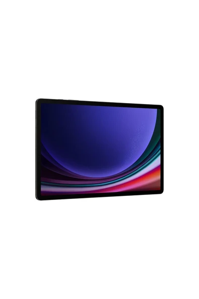 Samsung Galaxy Tab S9 12 Gb Ram 256 Gb Gray - Resim 5