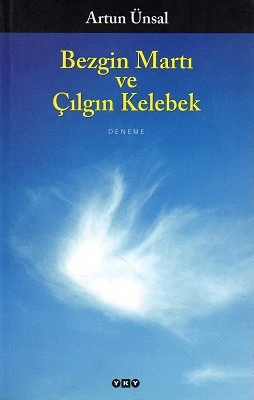 Bezgin Martı ve Çılgın Kelebek Artun Ünsal Yapı Kredi Yayınları ürün görseli