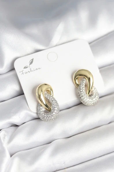 Sarmal Model Gold Gümüş Renk Pirinç Kadın Küpe - EBJ251010W38113 ürün görseli