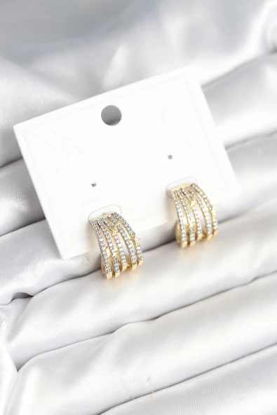 Kaburga Model Zirkon Taşlı Pirinç Kadın Küpe - EBJ251010W38136 ürün görseli