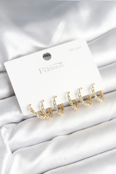 Gold Renk Burgu Halka Model 925 Ayar Gümüş Çivili Pirinç Küpe Seti - EBJ251010W38094 ürün görseli