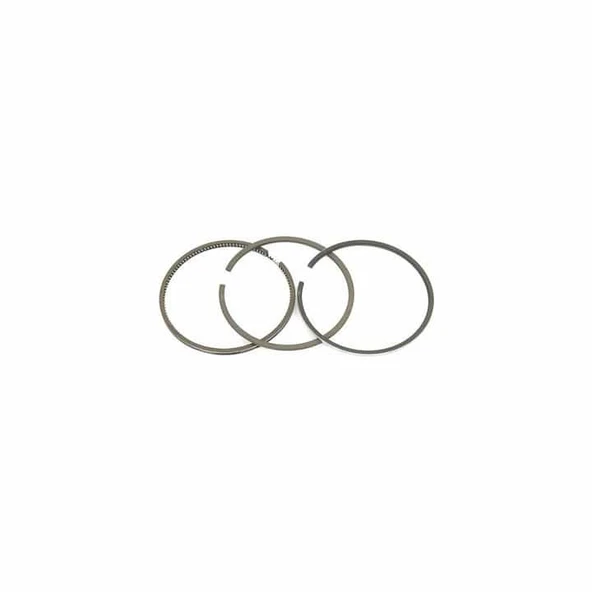 STD. SEG. TEK PISTON 100MM. 1909172 ürün görseli