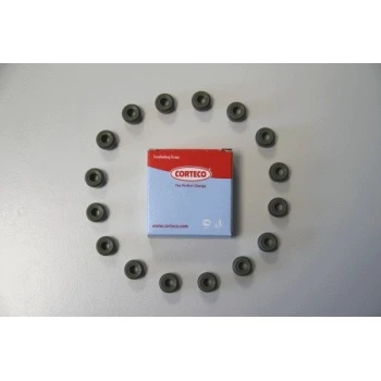 Renault Motor Subap Lastıgı 1.2 16v Clio III IV Modus Twingo 2001-> - Corteco 19036100 ürün görseli 1