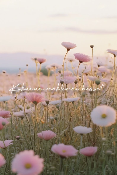 Çubuklu Oda Kokusu Kır Çiçekleri 100 ml - 3