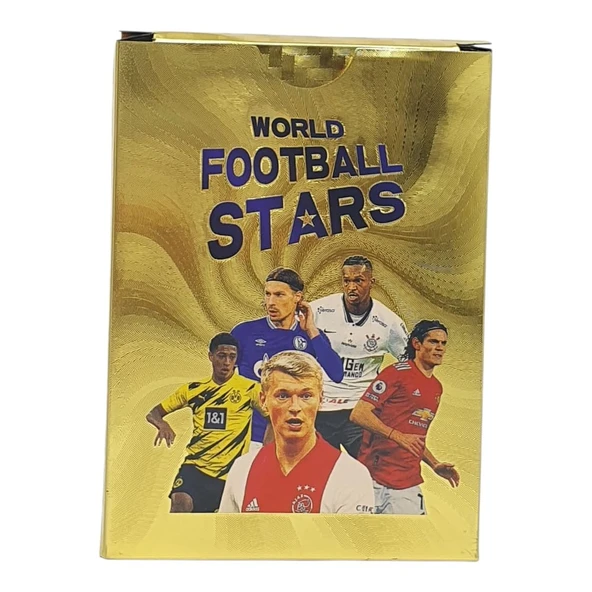 Futbolcu Kartları - Plastik Gold Kart - World Player - ZQJ55 ürün görseli