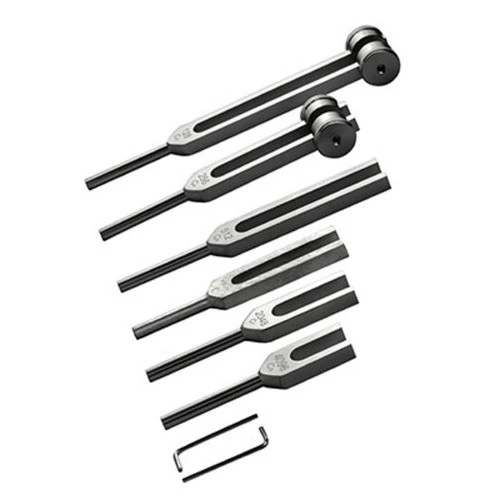 Baseline Diyapozon Seti 6 parçalı, Koruyucu taşıma çantalı (128, 256, 512, 1024, 2048, 4096 cps) - 2