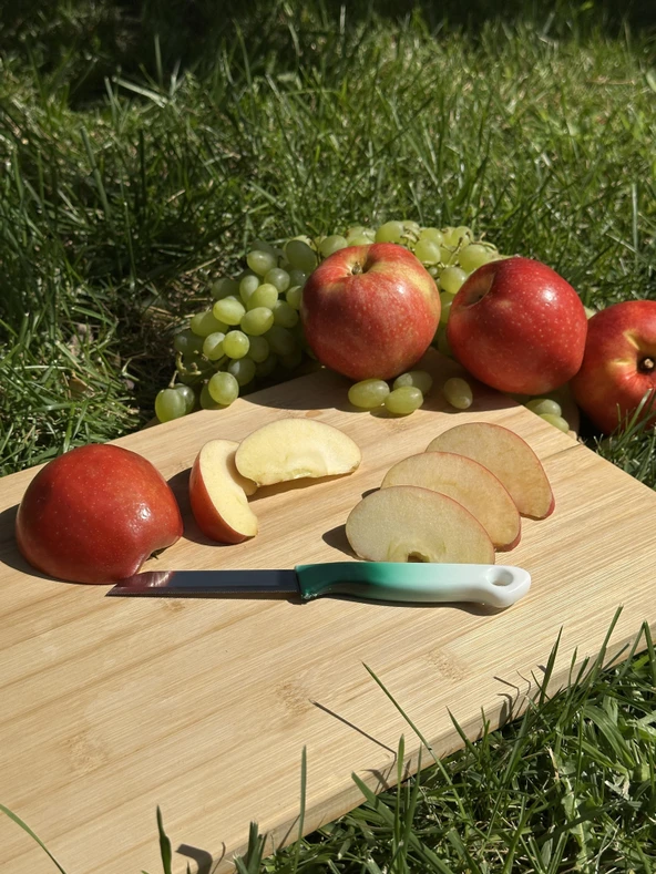 Solingen Ebruli Yeşil Tırtıklı Meyve Bıçağı – 18,5 cm, Paslanmaz Alman Çeliği, Ergonomik Sap (Tekli) ürün görseli