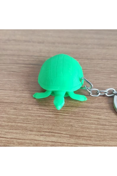 Caretta Caretta 12539 - 1