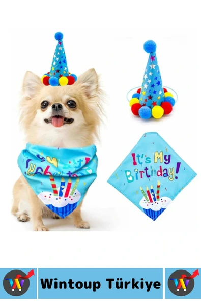 Evcil Hayvan Pet İlgi Çekici Moral Yükselten Köpekler İçin Eğlenceli Ödül Doğum Günü Partisi Seti - Resim 4