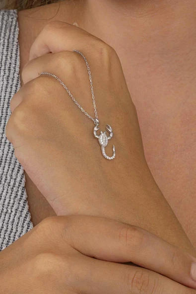 Gümüş Pazarım Beyaz Taşlı Akrep Kadın Gümüş Kolye - Resim 3