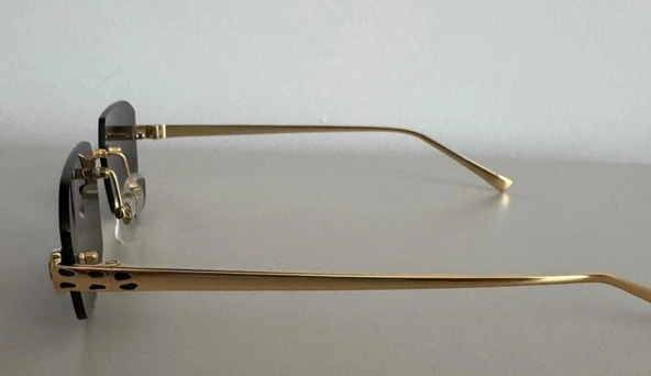 Cartier  ct0474s KADIN GÜNEŞ GÖZÜĞÜ - 4