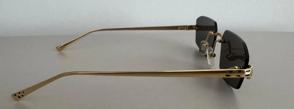 Cartier  ct0474s KADIN GÜNEŞ GÖZÜĞÜ - 5