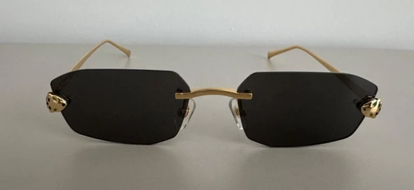 Cartier  ct0474s KADIN GÜNEŞ GÖZÜĞÜ - 1