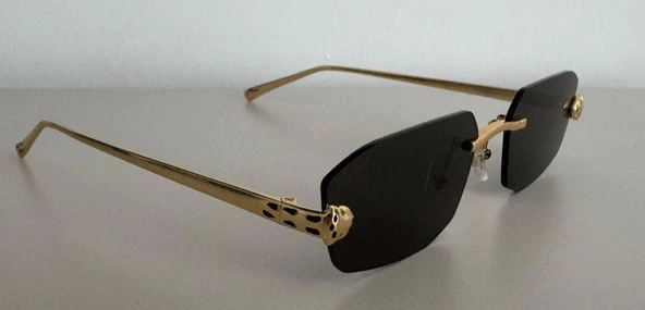 Cartier  ct0474s KADIN GÜNEŞ GÖZÜĞÜ - 6