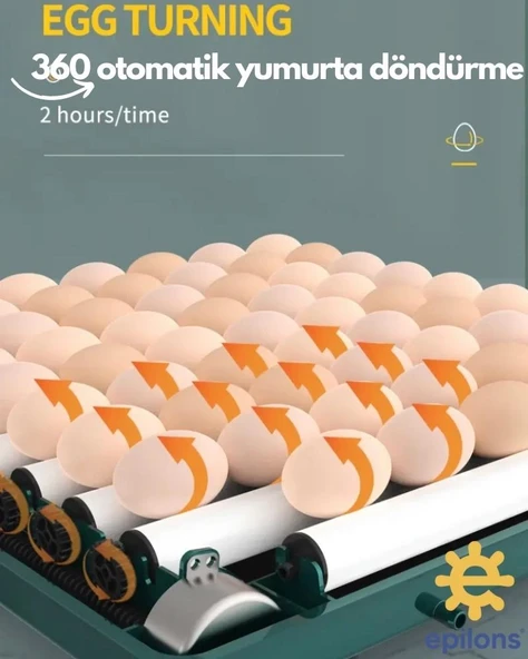 Kuluçka Makinesi 130 Tavuk Yumurtalı Extra Yedek Motorlu İncubator - Resim 4