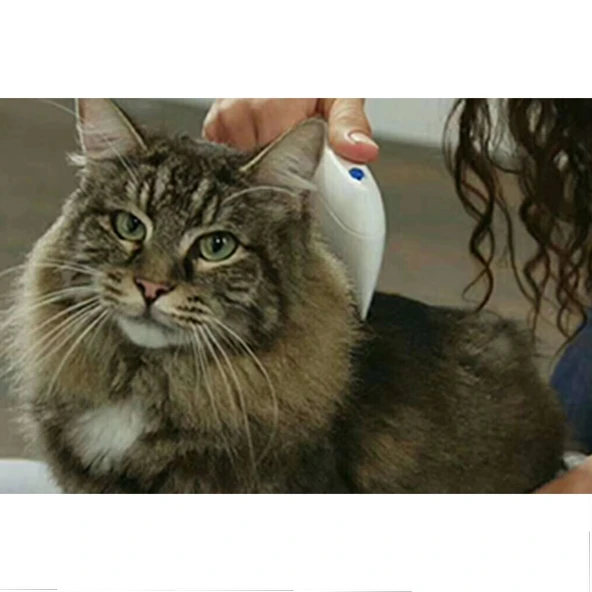 Kedi Köpek Pire Temizleyici Pire Tarağı Flea Doctor - Resim 2