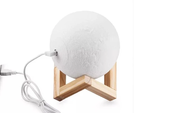 Dekoratif Yerküre 15cm Pilli Lamba - Resim 2