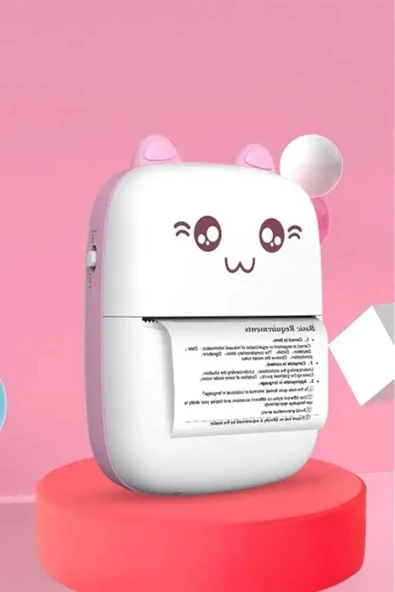 C9 Pembe Mini Yazıcı Taşınabilir Termal Yazıcı Kablosuz Bağlantı Ap Kontrol Cep Yazıcısı - Resim 2