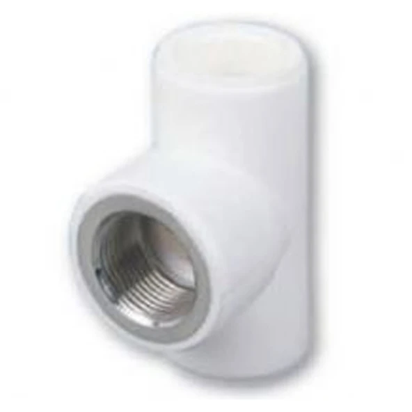 Pilsa PP-RC İç Dişli TE 25x3/4x25 - 1