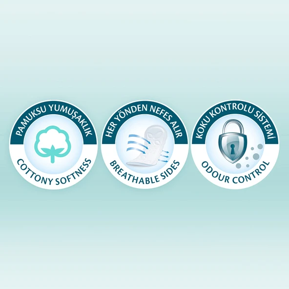 Molped Extra Hijyen Günlük Ped 112 Adet - 3