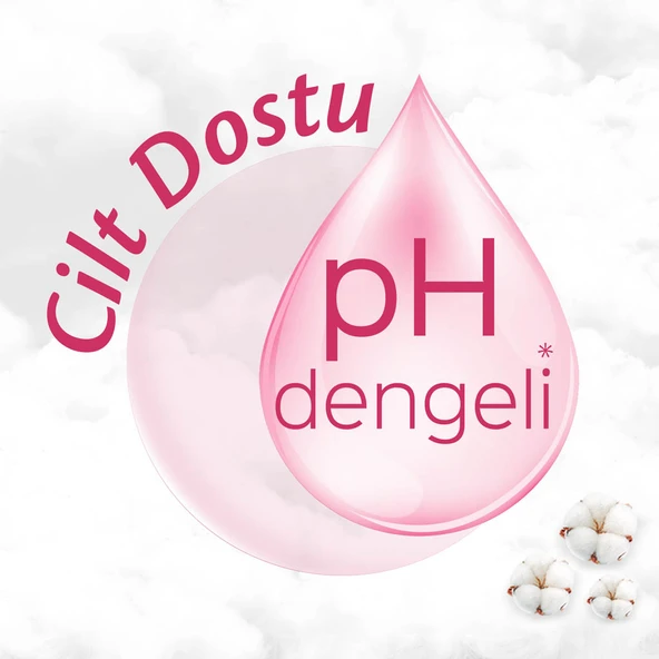 Molped Her Gün Ferahlık Günlük Ped 240 Adet - 3