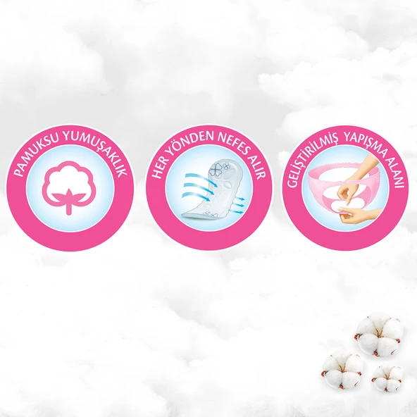 Molped Her Gün Ferahlık Günlük Ped 120 Adet - 4