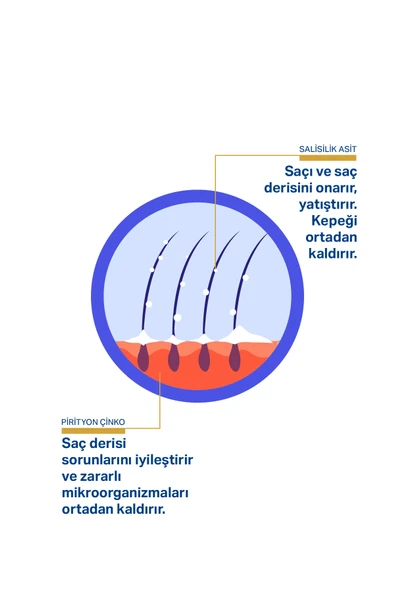 Kepek Pullanma Karşıtı Ve Çinko Onarıcı Şampuan - 3