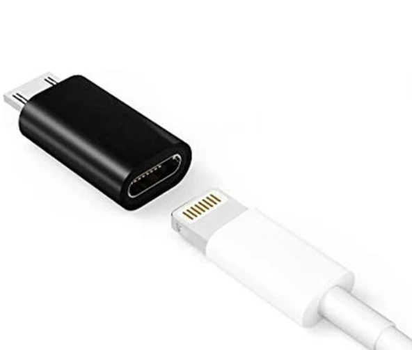 ZR358 Lightning To Micro Çevirici ürün görseli
