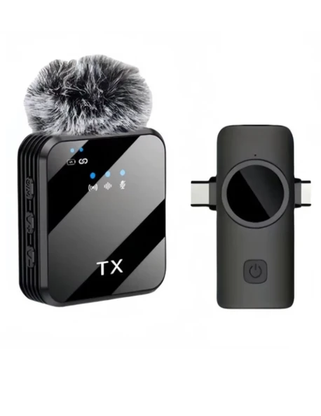 ZR1028 F13 İki Girişli Tekli Mikrofon ürün görseli