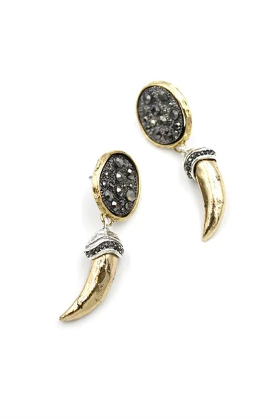 Parlak Taşlı Boynuz Küpe - Altın - 2