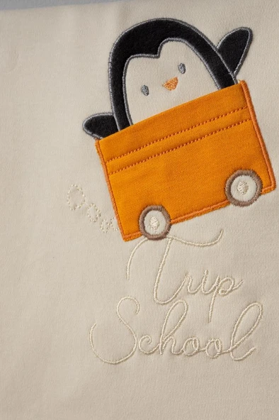 Bebitof %100 Pamuk Arabalı Penguen Desenli 10 Parça Kutulu Yenidoğan Hastane Çıkısı Seti BBTF.TRN.10094 - 3