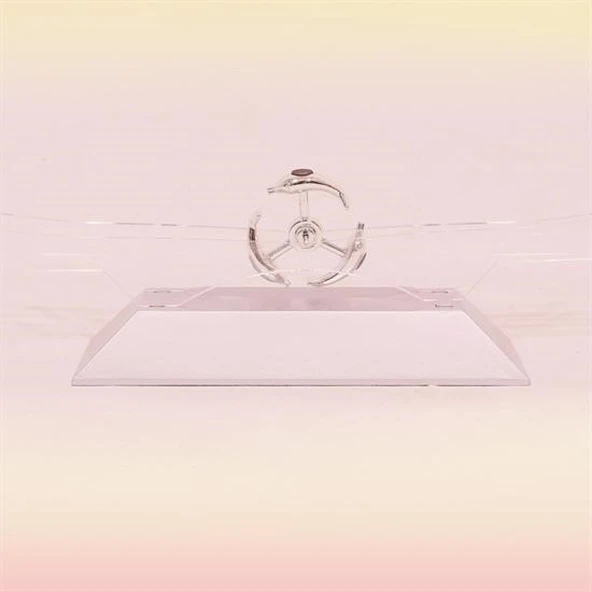 Buffer® Dekoratif Masa Üstü Obje Manyetik Kinetik Orbital Dönen Yunuslar