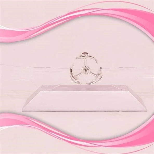 Buffer® Dekoratif Masa Üstü Obje Manyetik Kinetik Orbital Dönen Yunuslar - 2