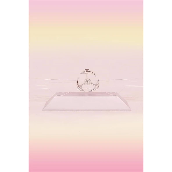 Buffer® Dekoratif Masa Üstü Obje Manyetik Kinetik Orbital Dönen Yunuslar - 4