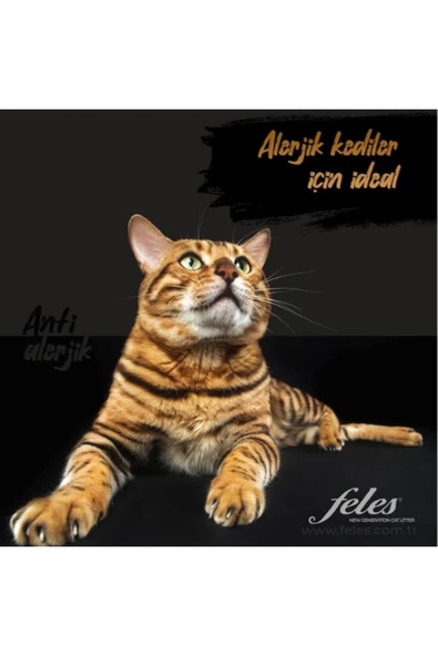 %100 Tozsuz Kedi Kumu 40 Litre - Resim 5