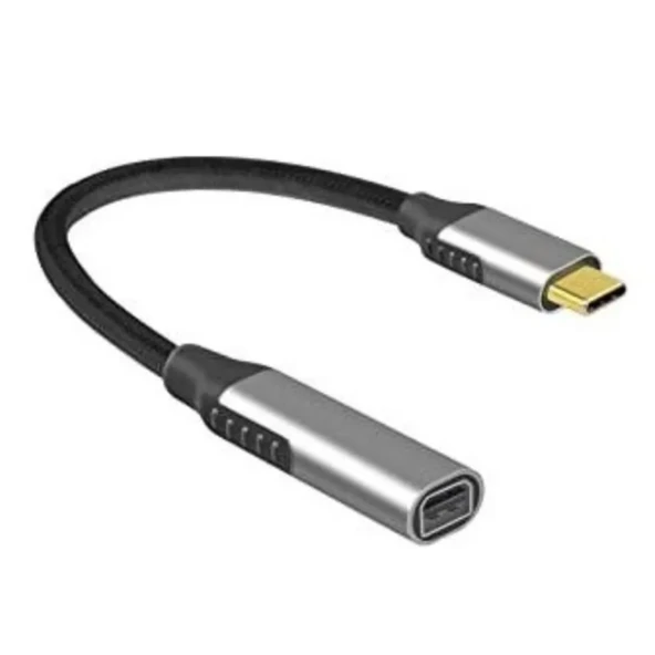 Zr125 Type-c Mini Dp Çevirici