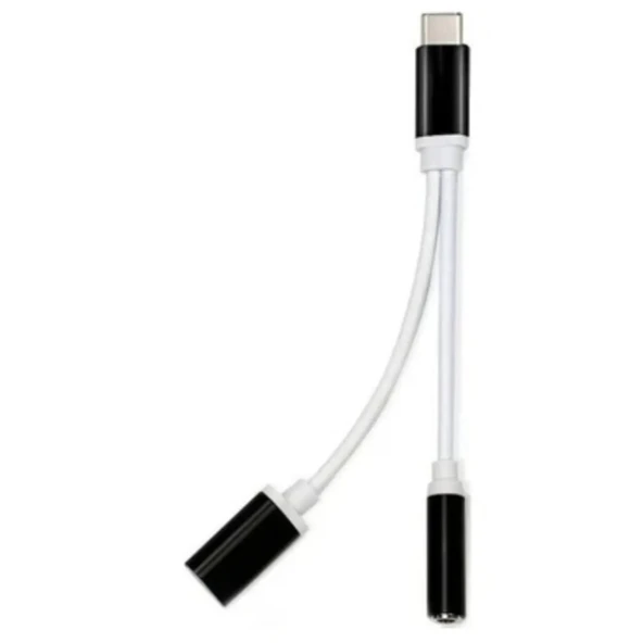 Zr310 Ft Ac 20 Type-c 2 İn 1 Çevirici