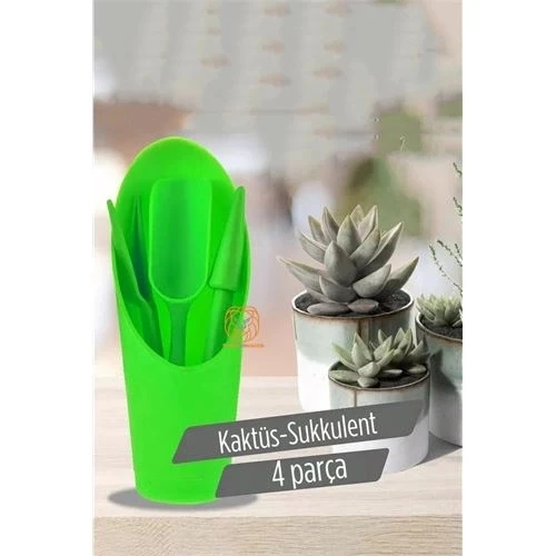 Litae Trend BFS Kaktüs Sukkulent Dikim Seti ürün görseli